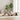 Lumbar Back Stretcher