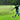 Soccer Rebounder Net
